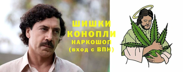 ГАЛЛЮЦИНОГЕННЫЕ ГРИБЫ Бутурлиновка