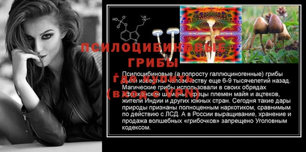 spice Балахна