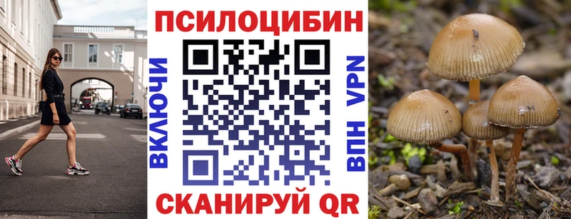 где купить наркотик  Верхнеуральск  Псилоцибиновые грибы Psilocybe 